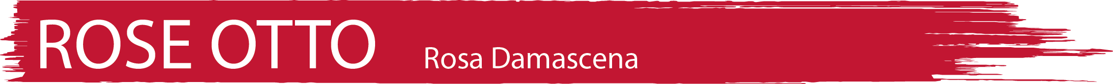 Rose_Otto