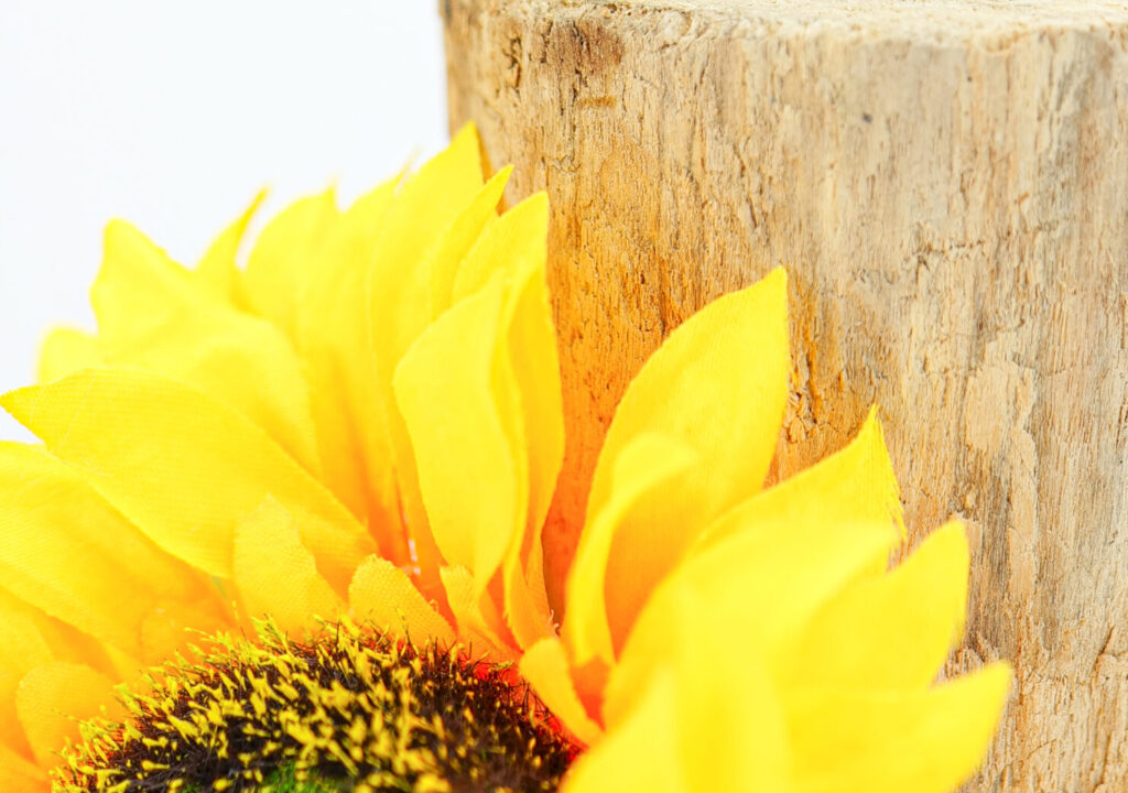 Vitamin E Cream on Log